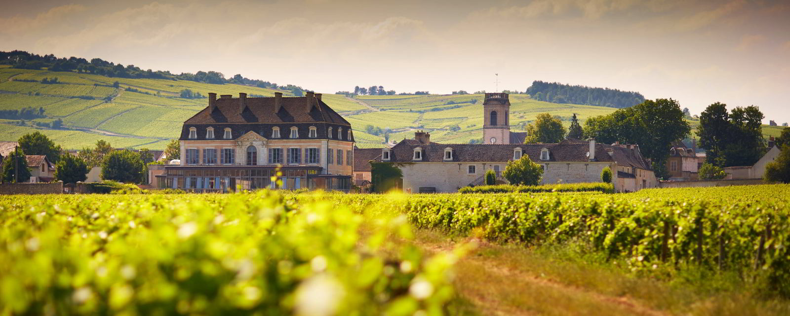 France Burgundy Franche-Comté Vougeot Picture. Tailor-made Luxury wine tours and holidays with In Luxe Travel France, the France Luxury Travel Specialist since 2007