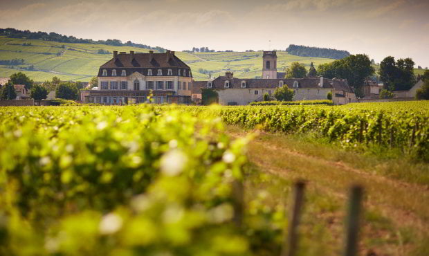 France Burgundy Tailor-made Luxury wine tour Clos de Vougeot with In Luxe Travel France, the France Luxury Travel Specialist since 2007