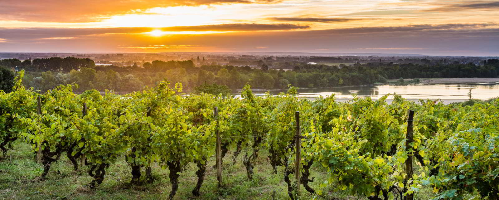 France Pays de la Loire Saumur Private Wine Tasting Tour. Pays de la Loire Luxury Holidays with In-Luxe Travel France, The specialist of luxury bespoke holidays in France since 2007
