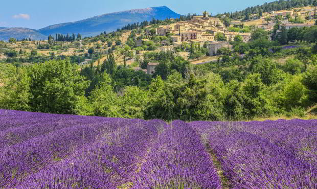 France Provence Lavender Fields picture. Luxury Provence Holidays with In-Luxe Travel France, The specialist of luxury bespoke holidays in France since 2007