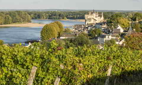 Private wine tasting in the Loire Valley, the third vineyard of France.