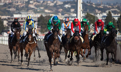 Attend a Horse Race, in Cagnes sur Mer, In the French Riviera, Luxury Holiday by In Luxe Travel France
