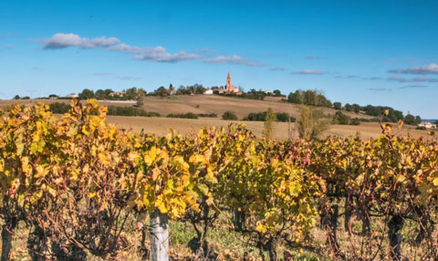 START YOUR OCCITANIE WINE TOUR FROM TOULOUSE, OCCITANIE, FRANCE