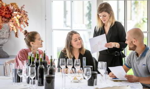 Bordeaux private luxury wine tour and wine tasting tour with blending workshop