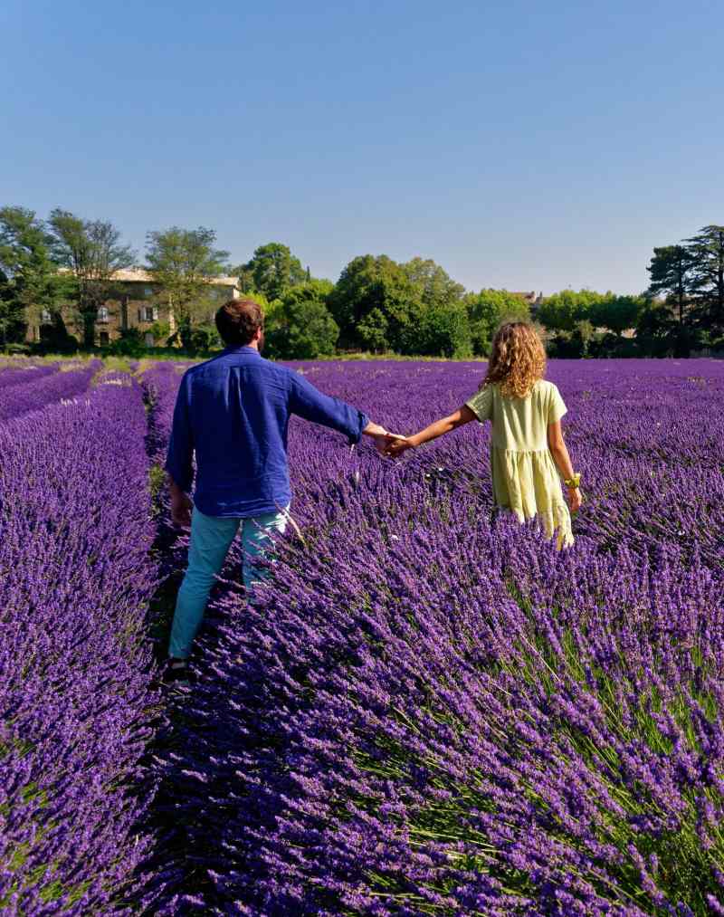 Indulge in exclusive romantic escapes across France, featuring enchanting châteaux stays, private vineyard tours, and breathtaking scenic landscapes.